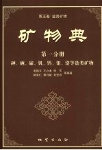 矿物典  （第五类  盐类矿物）  第1分册  砷、硒、碲、钒、钨、钼、铬等盐类矿物 封面