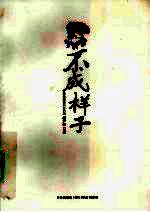 不成样子 封面