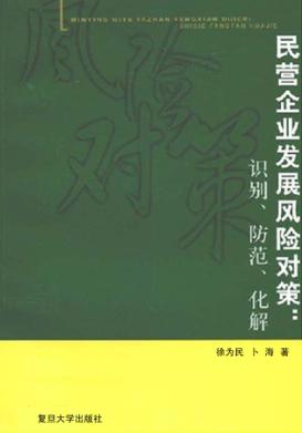 民营企业发展风险对策：识别、防范、化解 封面