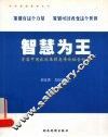 智慧为王 电子书封面