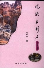 挖块五彩石  评论诗歌集 封面