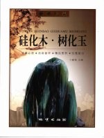 硅化木·树化玉 封面