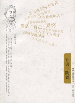 针尖上跳舞 封面