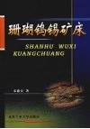 珊瑚钨锡矿床 封面