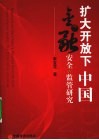 扩大开放下中国金融安全与监管研究 封面