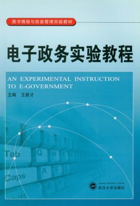 电子政务实验教程 封面