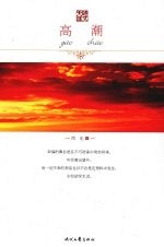 高潮 电子书封面