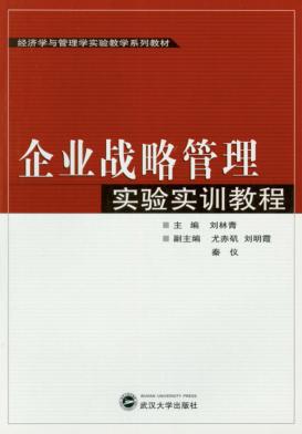企业战略管理实验实训教程 封面