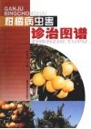 柑橘病虫害诊治图谱 封面