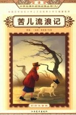 苦儿流浪记 封面