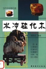 水冲硅化木 封面