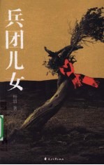 兵团儿女 封面
