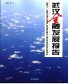 武汉金融发展报告  2007-2008 封面