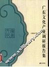 2005广东文化产业调研报告 封面