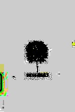 柑橘与柠檬啊 封面