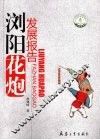 浏阳花炮发展报告 封面