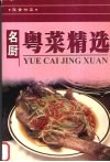 名厨粤菜精选 封面