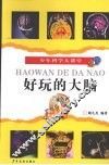 好玩的大脑 封面