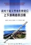 黄河干流大型水库修建后上下游再造床过程 封面