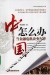 中国怎么办  当金融危机改变世界 封面