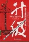 升级  成长品牌的突围之路 封面