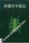 新疆天牛图志 封面