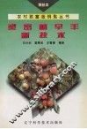 梨密植早丰新技术 封面