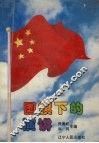 国旗下的演讲 封面