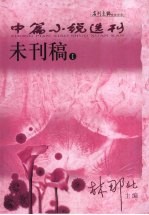 中篇小说选刊：未刊稿 封面