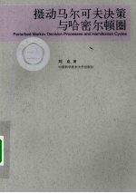 摄动马尔可夫决策与哈密尔顿圈 电子书封面