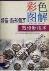 彩色图解姬菇、肺形侧耳栽培新技术 封面