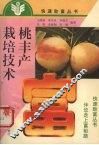 桃 封面