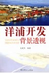 洋浦开发背景透视 封面