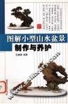图解小型山水盆景制作与养护 封面