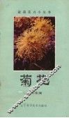 菊花 封面