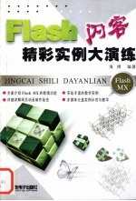 Flash 闪客精彩实例大演练 封面