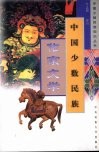 中国少数民族作家文学 封面