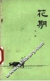 花期 封面