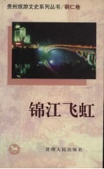 锦江飞虹  铜仁卷 封面