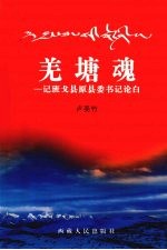 羌塘魂  记班戈县原县委书记论白 封面