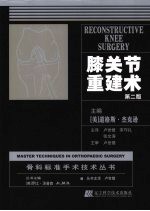 膝关节重建术  第2版 电子书封面