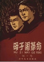 母子闹革命 封面
