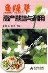 鱼腥草高产栽培与利用 封面