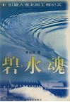 碧水魂：引碧入连北段工程纪实 封面