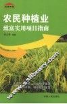 农民种植业致富实用项目指南 封面