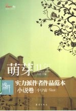 萌芽11年实力派作者作品范本  小说卷  小宇宙 封面