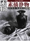 从入门到美院  提高篇  素描静物 封面
