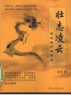 壮志凌云  有战略才有将来 封面