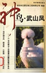 神乌·武山凤 封面