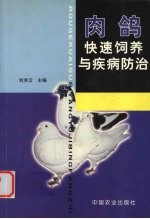 肉鸽快速饲养与疾病防治 封面